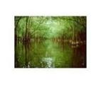 Malakoff Diggins State Historic Park
