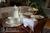 A B&B at the Edward Harris House::BedAndBreakfast.com