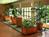 Safety Harbor Resort & Spa::Expedia