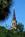 The Mills House Hotel::Orbitz