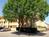 La Quinta Inn Houston Reliant Medical Center::Priceline.com