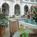 Chase Park Plaza::Priceline.com