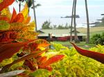 Honua Spa::TripAdvisor