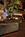 Hyatt Regency Cincinnati::Expedia