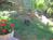 Loma Vista Bed and Breakfast::TripAdvisor
