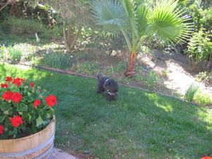 Loma Vista Bed and Breakfast::TripAdvisor