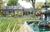 Cobblestone Manor::Priceline.com