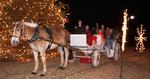 Carriage Tours of Memphis