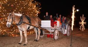 Carriage Tours of Memphis::Carriage Tours of Memphis Website