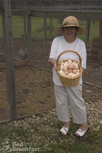 The Healing Stone Retreat & Spa::BedAndBreakfast.com
