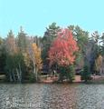 Evergreen Lodge