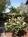 Belle de Jour Inn::BedAndBreakfast.com