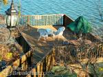Baker St Harbour B & B