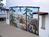 Best Western Lookout Lodge::Priceline.com