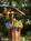 Hatcher Pass Bed and Breakfast::BedAndBreakfast.com
