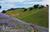 Asuncion Ridge Vineyards and Inn::BedAndBreakfast.com