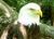 Akron Zoological Park::Akronzoo