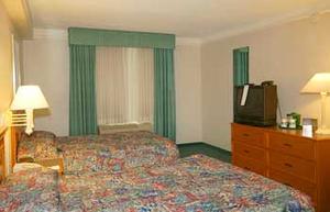 Web-pit_laqu-rooms-3