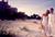 Don CeSar Beach Resort, A Loews Hotel::Hotels.com