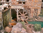 Tn-255350677_761dbb6442_m