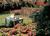 Grand Geneva Resort from Expedia