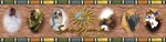 Tn-skin171_banner