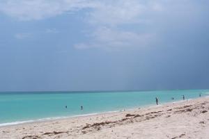 Haulover Beach Park::Media-cdn.tripadvisor.com