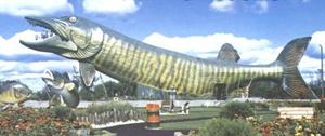 National Fresh Water Fishing Hall of Fame::Freshwater-fishing.org