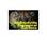 Jacksonville Zoo and Gardens from Epinions.com