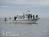 Alaska Excursion Adventures, Inc.::BedAndBreakfast.com