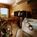 Grand Plaza Hotel::Travelocity.com