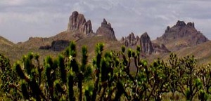 Mojave National Preserve::Nps.gov