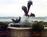 Monterey Plaza Hotel Spa::VirtualTourist