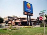 Comfort Inn Hamilton