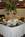 Holiday Inn Edison::Orbitz