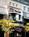 Best Western Boston - The Inn At Longwood Medical::Hotels.com