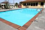 Best Western Cottontree Inn Conference Center Mt Vernon