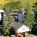 Eagle Point Condominiums::Travelocity