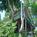 Oyster Bay Inn & Restaurant::Orbitz