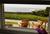 Pigeon Point::Northern California Hostels