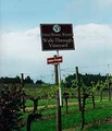Sokol Blosser Winery