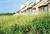 Ocean Edge Resort and Golf Club::Yahoo! Travel