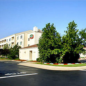 Web-lou_cast-exter-1