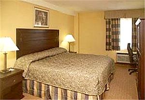 Web-lax_mtpk-rooms-2