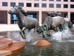Mustangs of Las Colinas::Yahoo! Travel