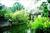 Gaylord Opryland Hotel from VirtualTourist