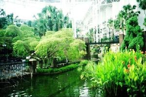 Web-1597342-gaylord_opryland_resort_convention_center-nashville