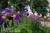 The Garden Cottage Bed & Breakfast::BedAndBreakfast.com