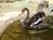 Embassy Suites Hotel�� Napa Valley-Wine Country::VirtualTourist