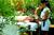 Green Valley Spa And Resort::Hotels.com